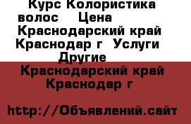 Курс Колористика волос  › Цена ­ 10 000 - Краснодарский край, Краснодар г. Услуги » Другие   . Краснодарский край,Краснодар г.